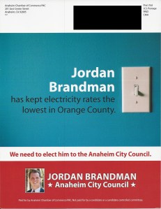 Brandman_Large_Front